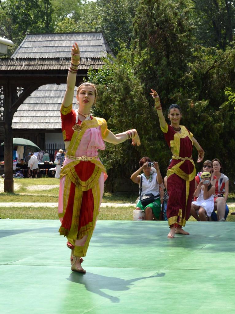 Namaste India 2013 DSC_0452 2