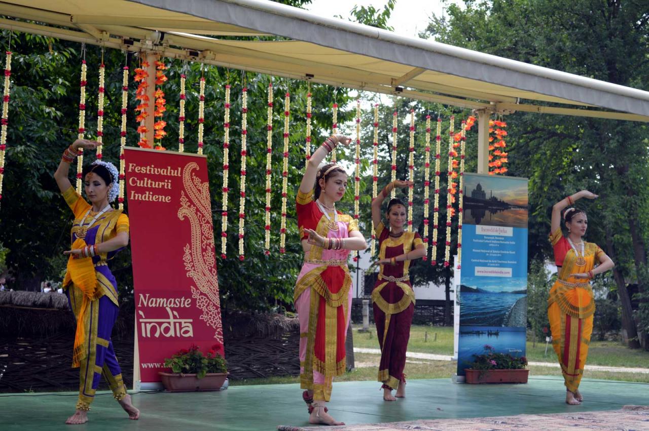 Namaste India 2013 DSC_0463 2